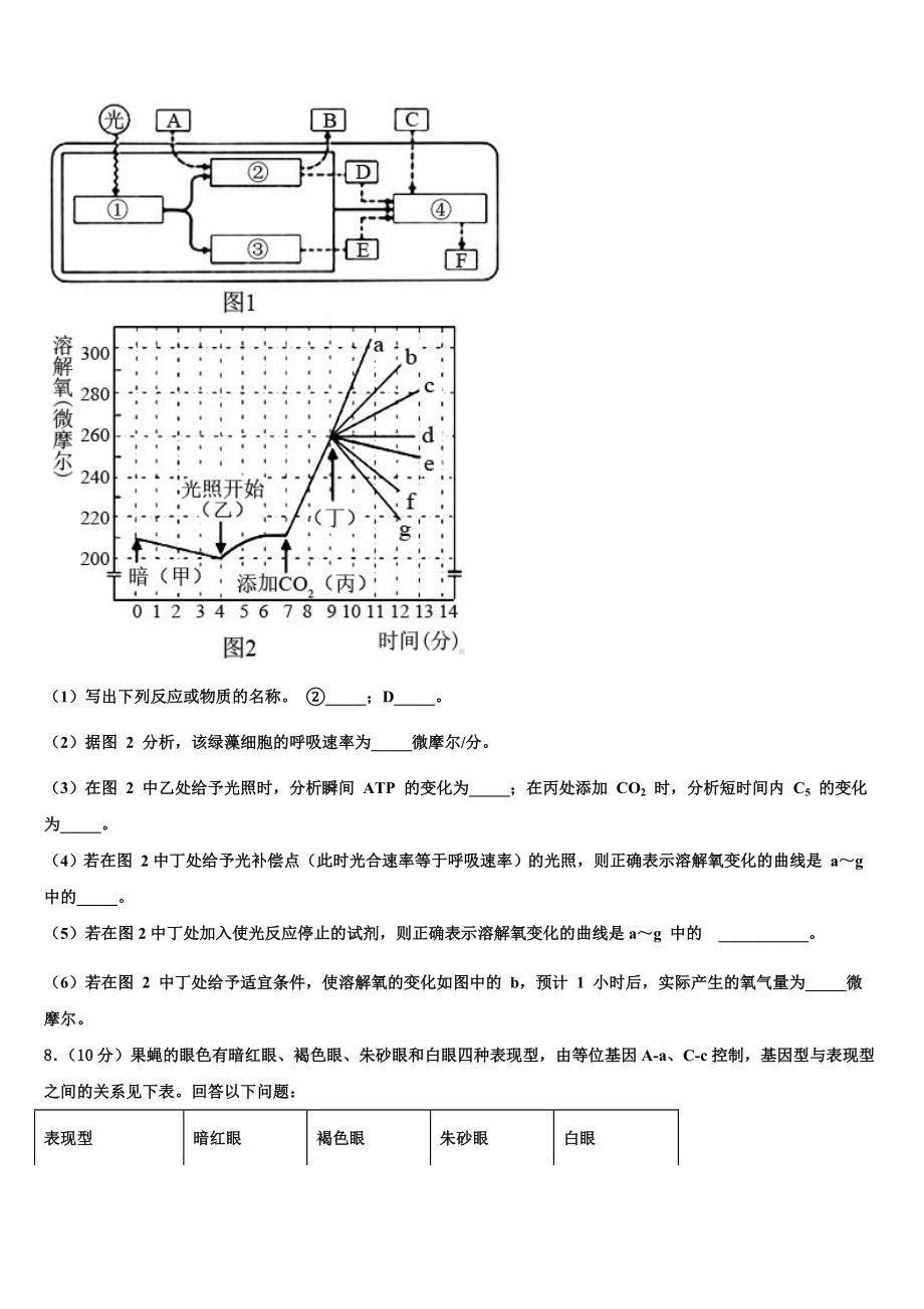 浙江省鄞州中学2022-2023学年高三六校第一次联考生物试卷含解析.doc_第3页