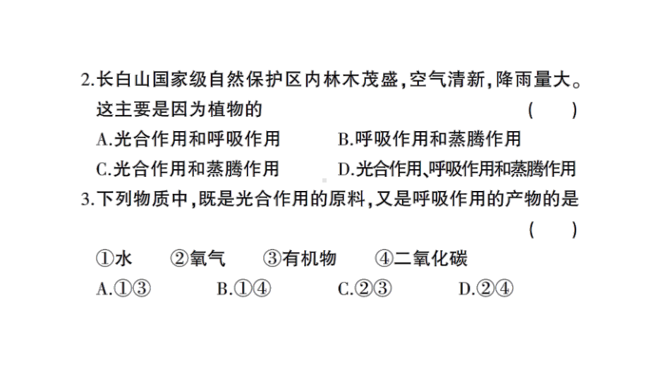 初中生物新北师大版七年级上册第3单元第4章 绿色开花植物的生活方式综合训练作业课件（2024秋）.pptx_第3页