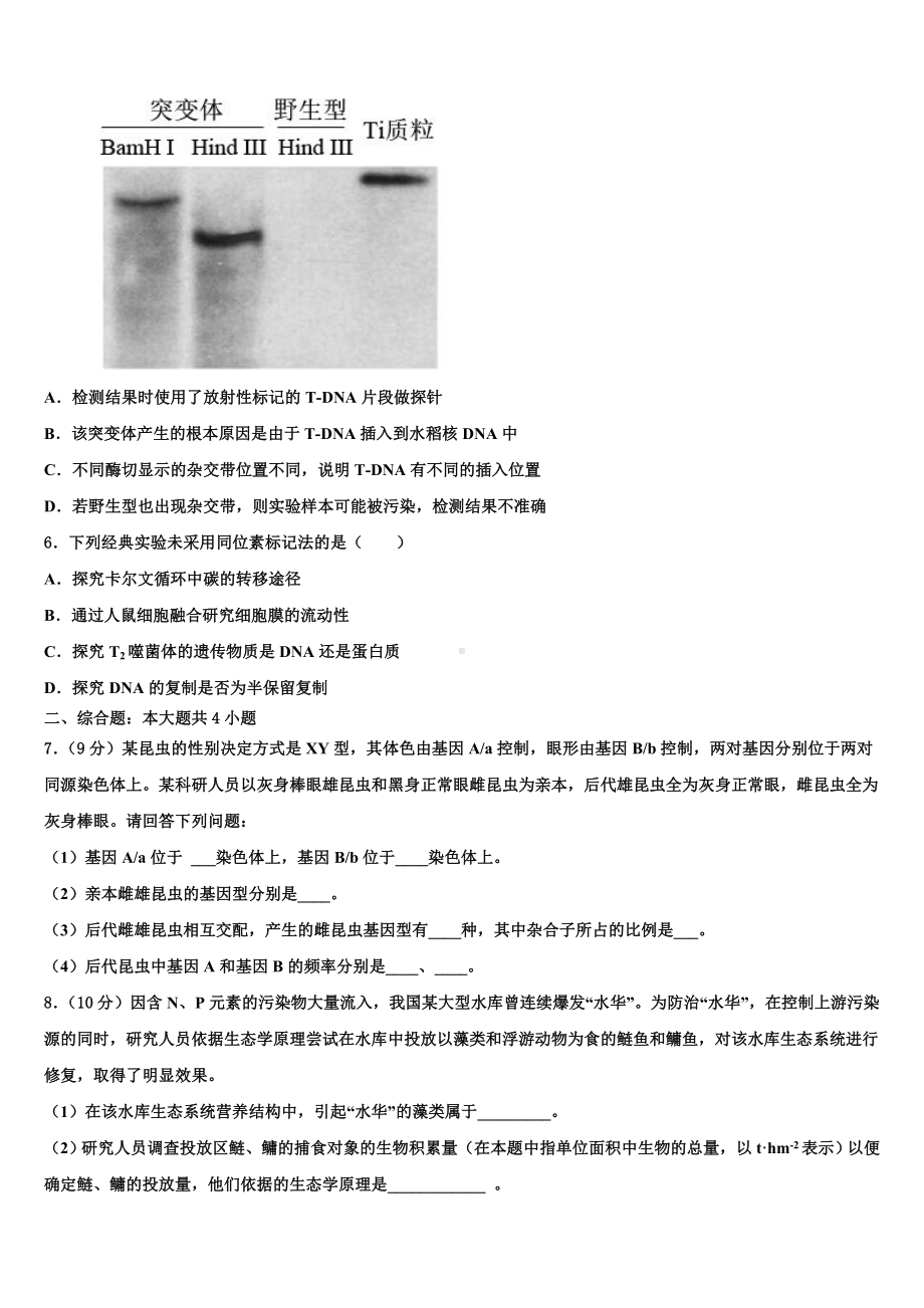 哈三中2023年高三第六次模拟考试生物试卷含解析.doc_第2页