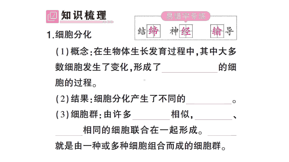 初中生物新北师大版七年级上册第2单元第3章第2节 细胞分化形成组织作业课件2024秋.pptx_第2页