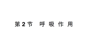 初中生物新北师大版七年级上册第3单元第4章第2节 呼吸作用作业课件2024秋.pptx