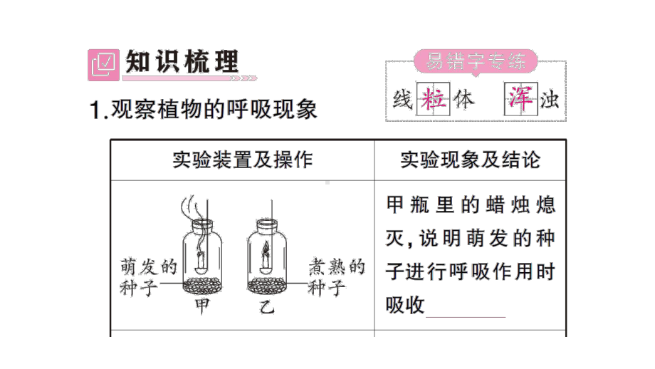 初中生物新北师大版七年级上册第3单元第4章第2节 呼吸作用作业课件2024秋.pptx_第2页