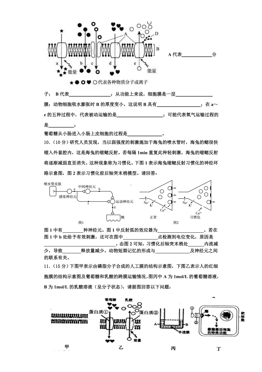 广东省深圳市菁华中英文实验中学2023-2024学年生物高一第一学期期末监测试题含解析.doc_第3页