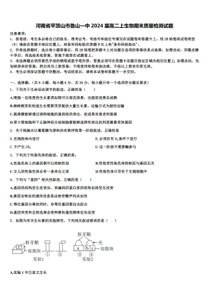 河南省平顶山市鲁山一中2024届高二上生物期末质量检测试题含解析.doc