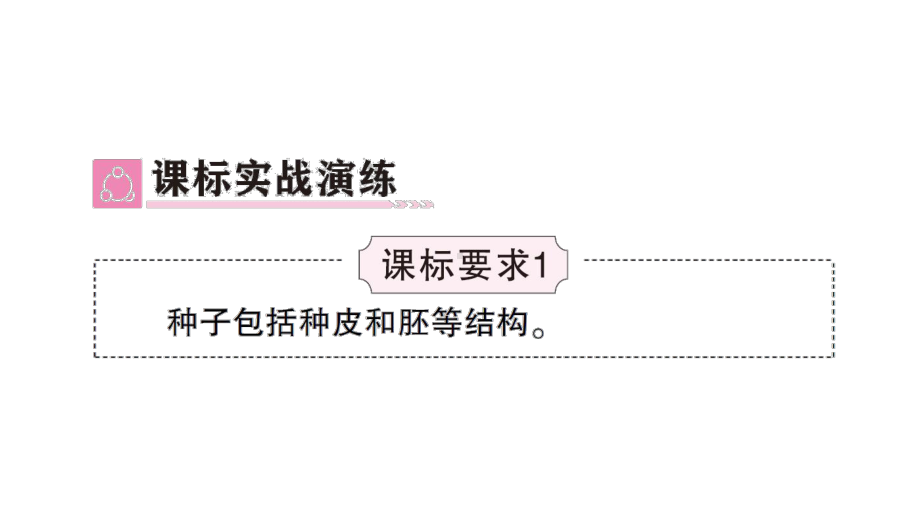 初中生物新北师大版七年级上册第3单元第5章 绿色开花植物的生活史总结训练作业课件2024秋.pptx_第3页