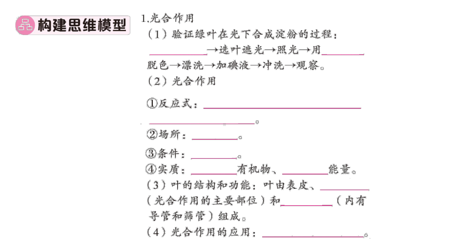 初中生物新北师大版七年级上册期末大单元整合二 植物的生活作业课件2024秋.pptx_第2页