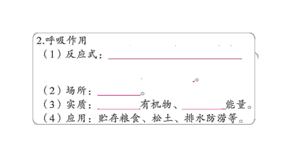 初中生物新北师大版七年级上册期末大单元整合二 植物的生活作业课件2024秋.pptx_第3页