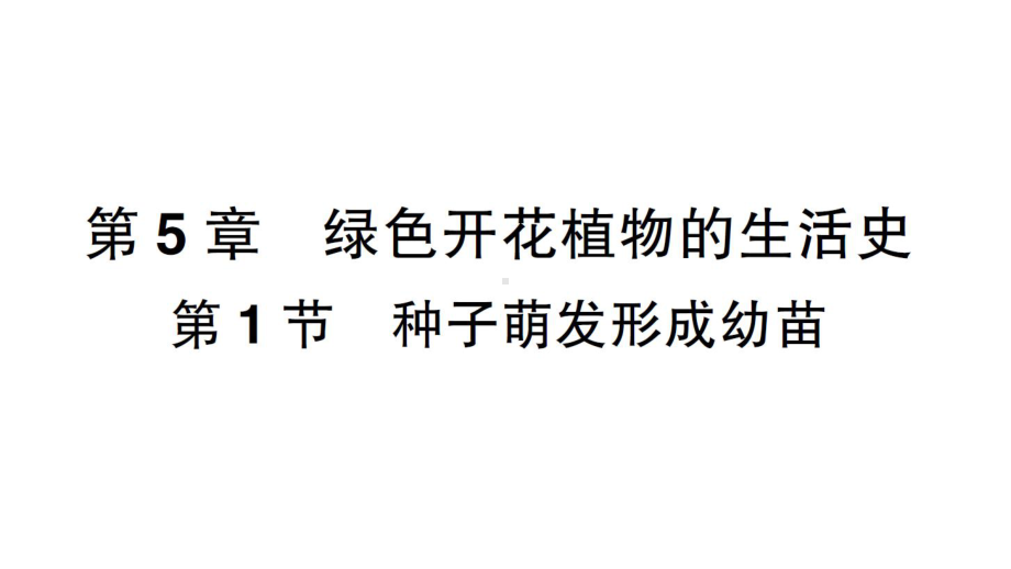 初中生物新北师大版七年级上册第3单元第5章 绿色开花植物的生活史作业课件2024秋.pptx_第1页