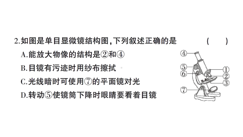 初中生物新北师大版七年级上册第2单元第2、3章综合训练作业课件（2024秋）.pptx_第3页