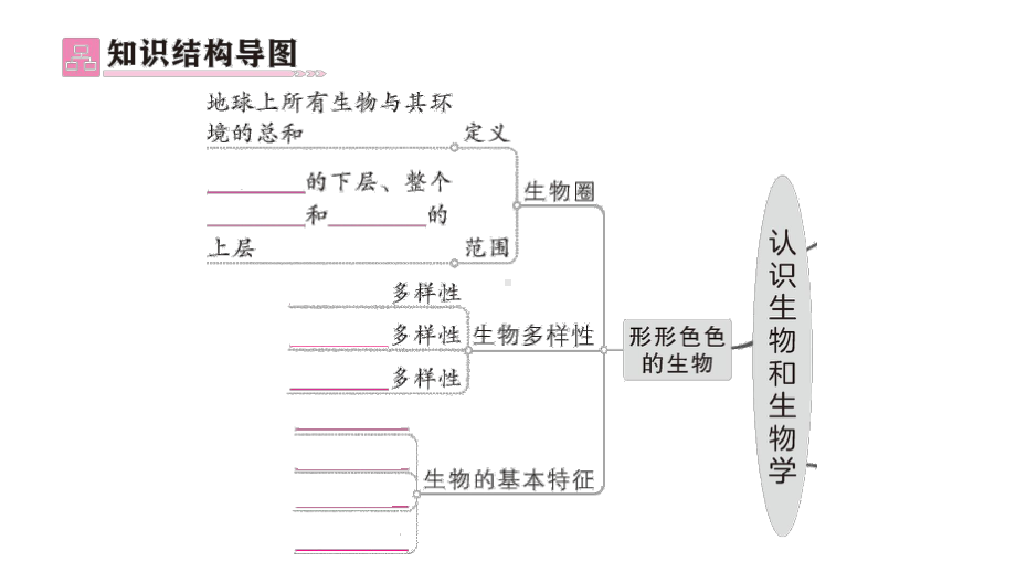 初中生物新北师大版七年级上册第1单元第1章 认识生物和生物学总结训练作业课件2024秋.pptx_第2页