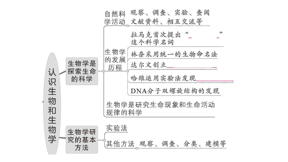 初中生物新北师大版七年级上册第1单元第1章 认识生物和生物学总结训练作业课件2024秋.pptx_第3页