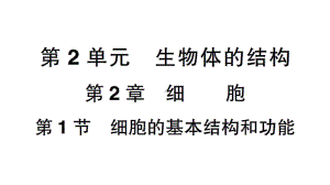 初中生物新北师大版七年级上册第2单元第2章 细胞作业课件2024秋.pptx