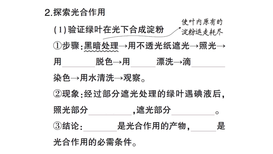 初中生物新北师大版七年级上册第3单元第4章第1节第1课时 光合作用的探索作业课件2024秋.pptx_第3页