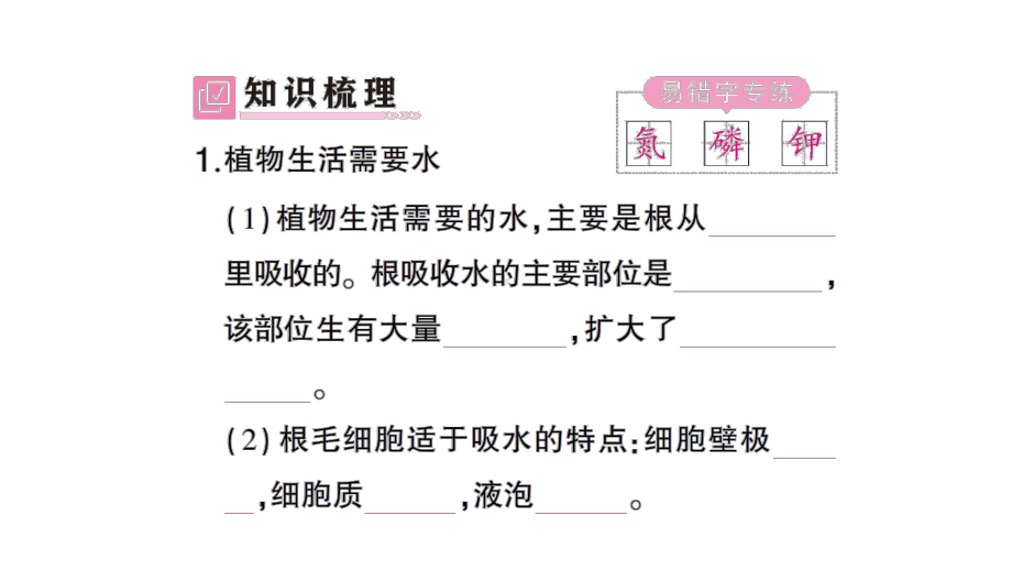 初中生物新北师大版七年级上册第3单元第4章第3节 吸收作用作业课件2024秋.pptx_第2页