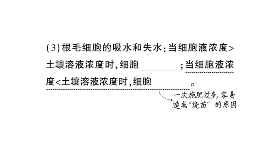 初中生物新北师大版七年级上册第3单元第4章第3节 吸收作用作业课件2024秋.pptx_第3页