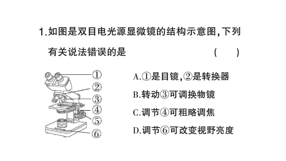 初中生物新北师大版七年级上册第2单元第2章微专题一 显微镜及动植物细胞作业课件2024秋.pptx_第2页