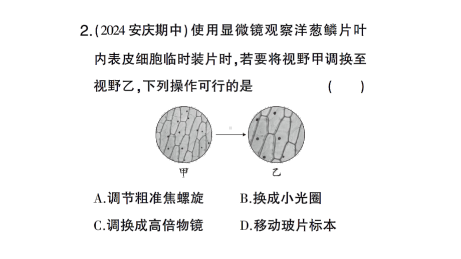 初中生物新北师大版七年级上册第2单元第2章微专题一 显微镜及动植物细胞作业课件2024秋.pptx_第3页