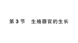 初中生物新北师大版七年级上册第3单元第5章第3节 生殖器官的生长作业课件2024秋.pptx