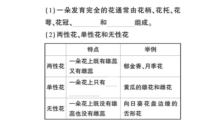 初中生物新北师大版七年级上册第3单元第5章第3节 生殖器官的生长作业课件2024秋.pptx_第3页