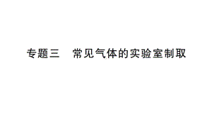 初中化学新人教版九年级上册第七单元专题三 常见气体的实验室制取作业课件2024秋.pptx