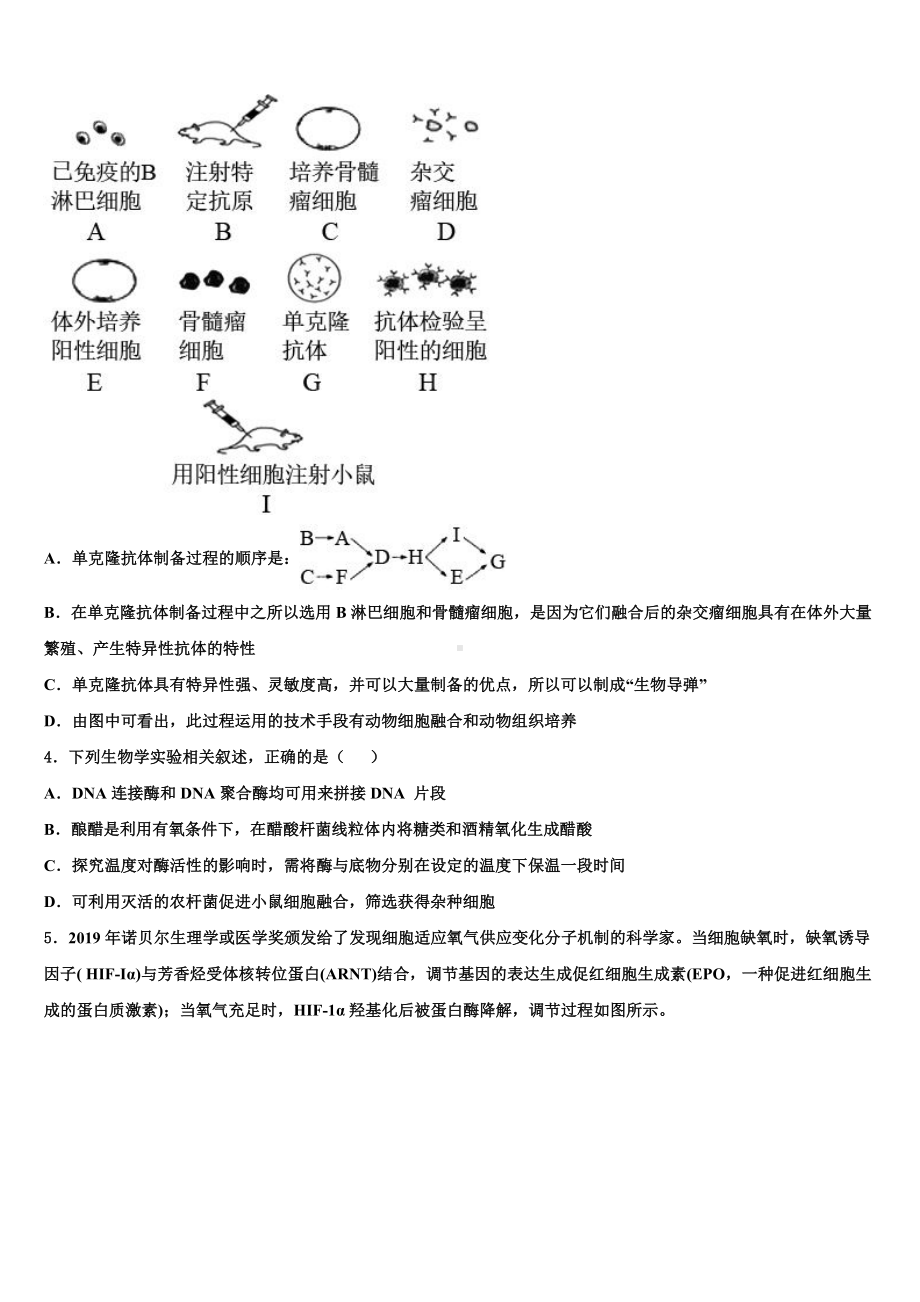 2023年山东省六地市部分学校高三生物第一学期期末经典试题含解析.doc_第2页