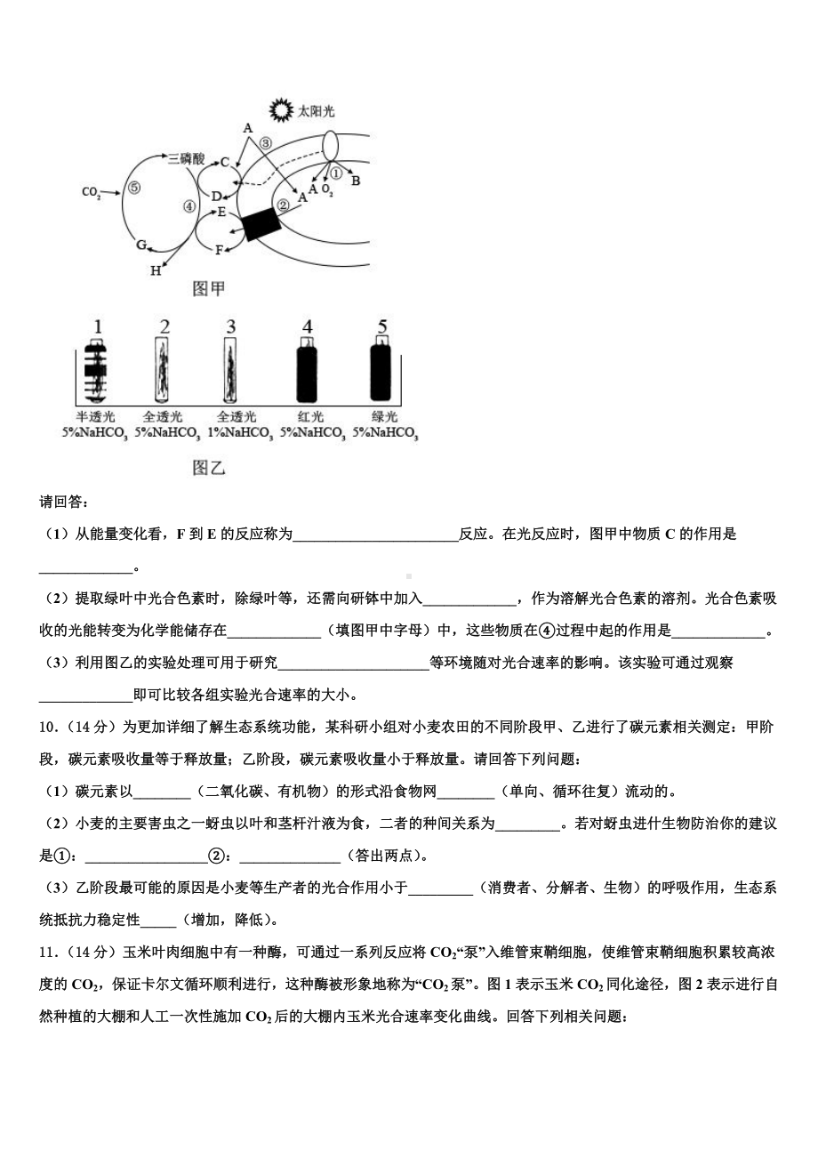 2024届重庆市江津区第六中学生物高三第一学期期末调研模拟试题含解析.doc_第3页