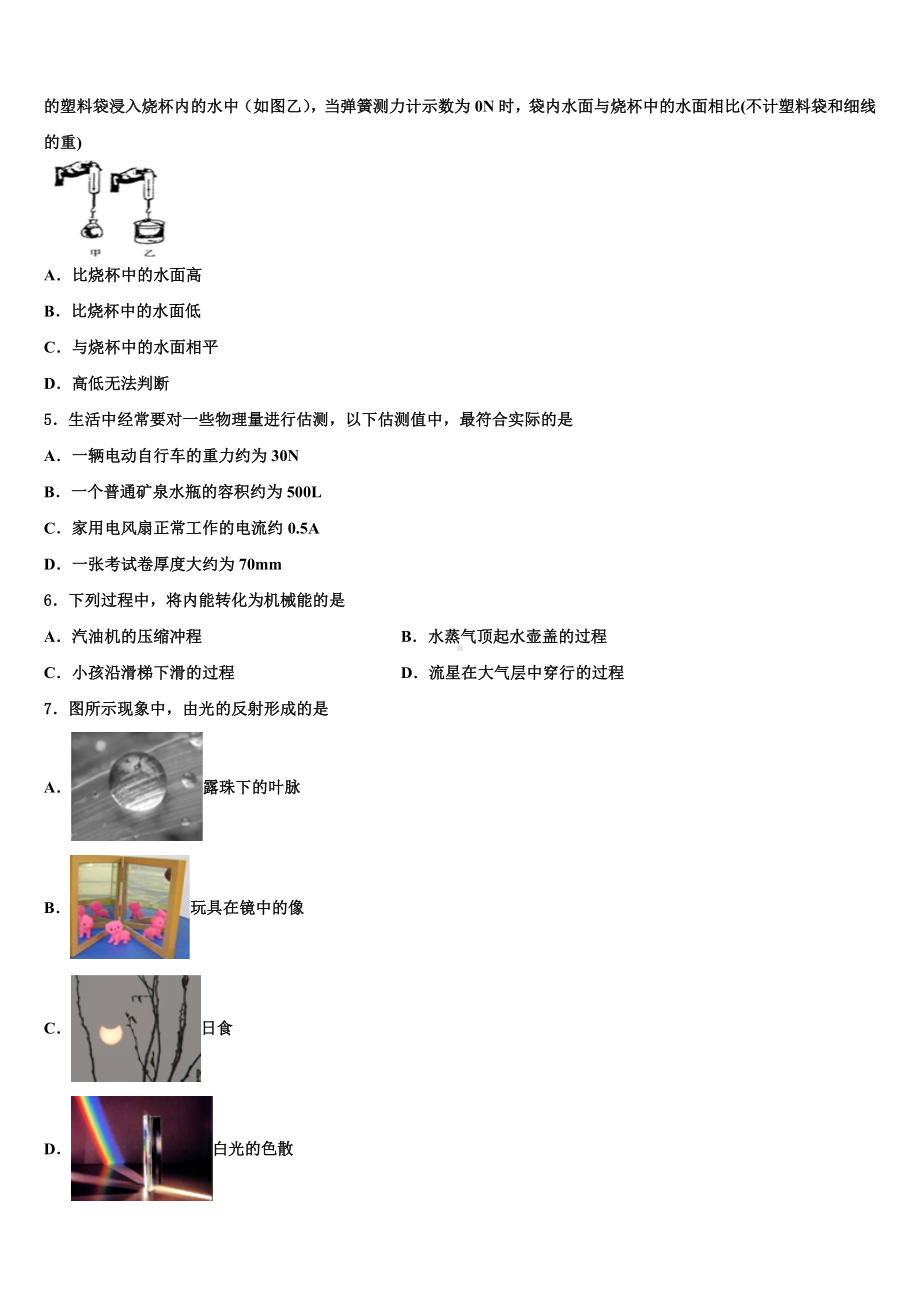 2023-2024学年浙江省瑞安市重点名校中考物理模拟试题含解析.doc_第2页