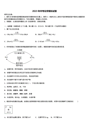 2022-2023学年湖北省罗田县中考化学全真模拟试题含解析.doc