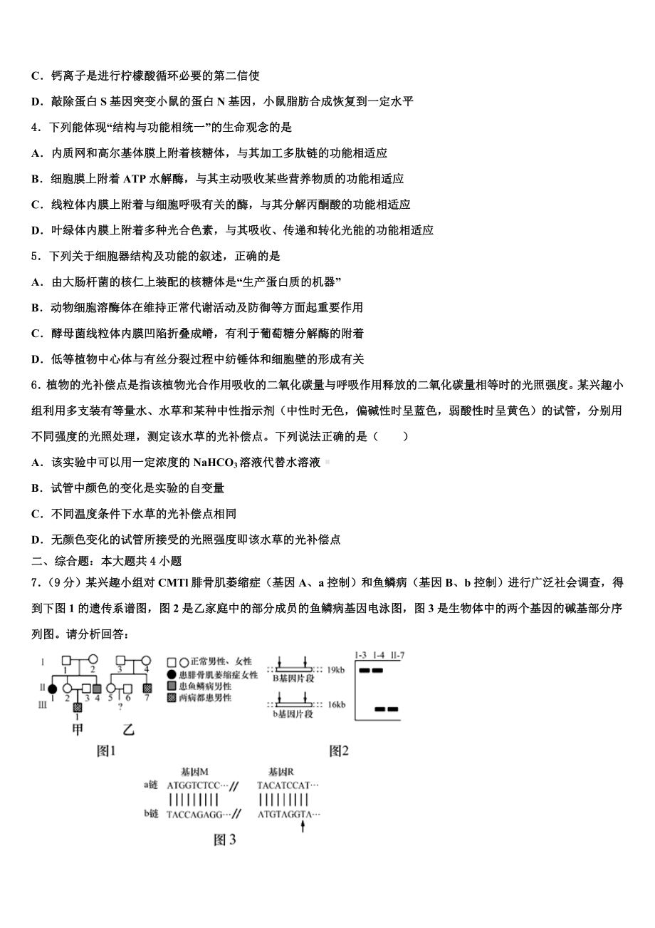 2023-2024学年江苏省扬州市江都区大桥高中高考临考冲刺生物试卷含解析.doc_第2页