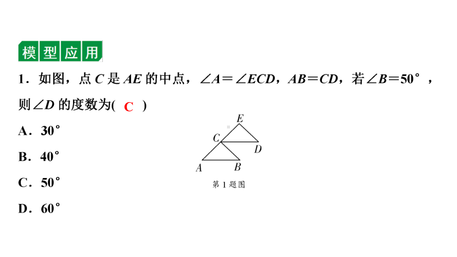 2024海南中考数学二轮重点专题研究 微专题 七大常考全等模型（课件）.pptx_第2页