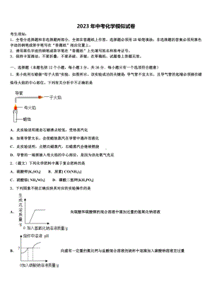 2022-2023学年江苏省无锡市丁蜀区中考适应性考试化学试题含解析.doc