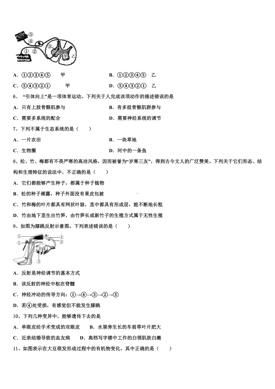 四川省眉山市东坡区苏洵初级中学2022-2023学年中考二模生物试题含解析.doc_第2页