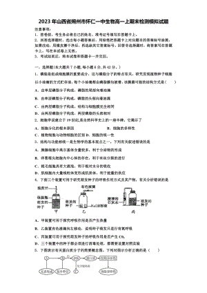 2023年山西省朔州市怀仁一中生物高一上期末检测模拟试题含解析.doc