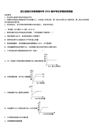 浙江省绍兴市皋埠镇中学2024届中考化学模拟预测题含解析.doc