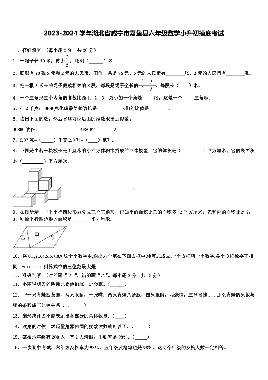 2023-2024学年湖北省咸宁市嘉鱼县六年级数学小升初摸底考试含解析.doc_第1页