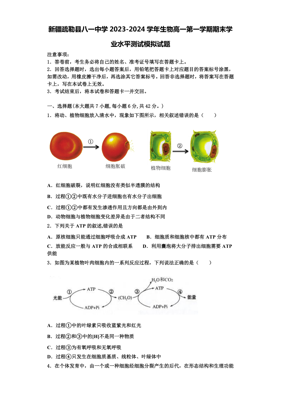 新疆疏勒县八一中学2023-2024学年生物高一第一学期期末学业水平测试模拟试题含解析.doc_第1页