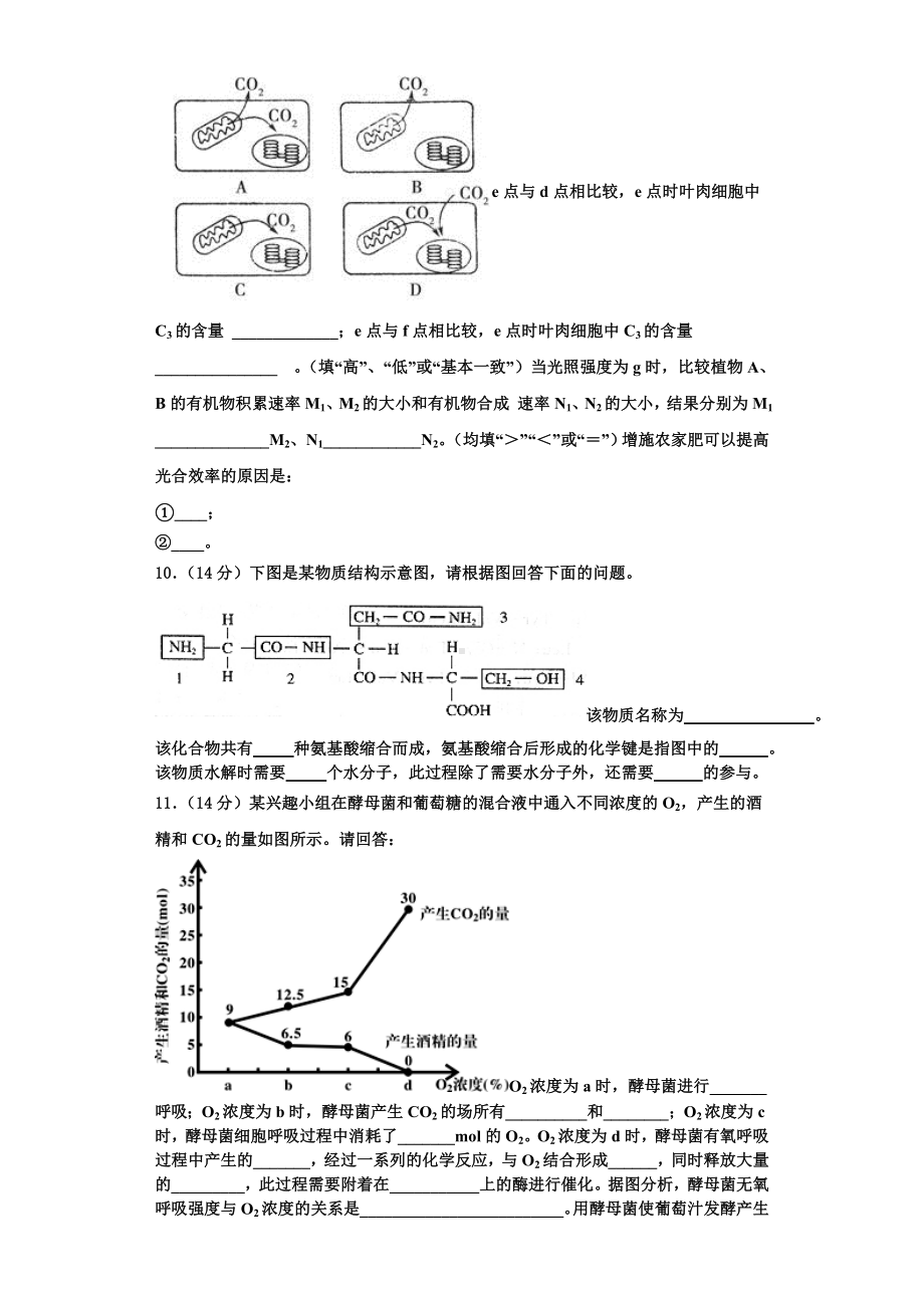 新疆疏勒县八一中学2023-2024学年生物高一第一学期期末学业水平测试模拟试题含解析.doc_第3页