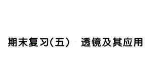 初中物理新人教版八年级上册期末复习（五） 透镜及其应用作业课件2024秋季.pptx