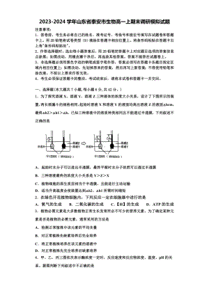 2023-2024学年山东省泰安市生物高一上期末调研模拟试题含解析.doc