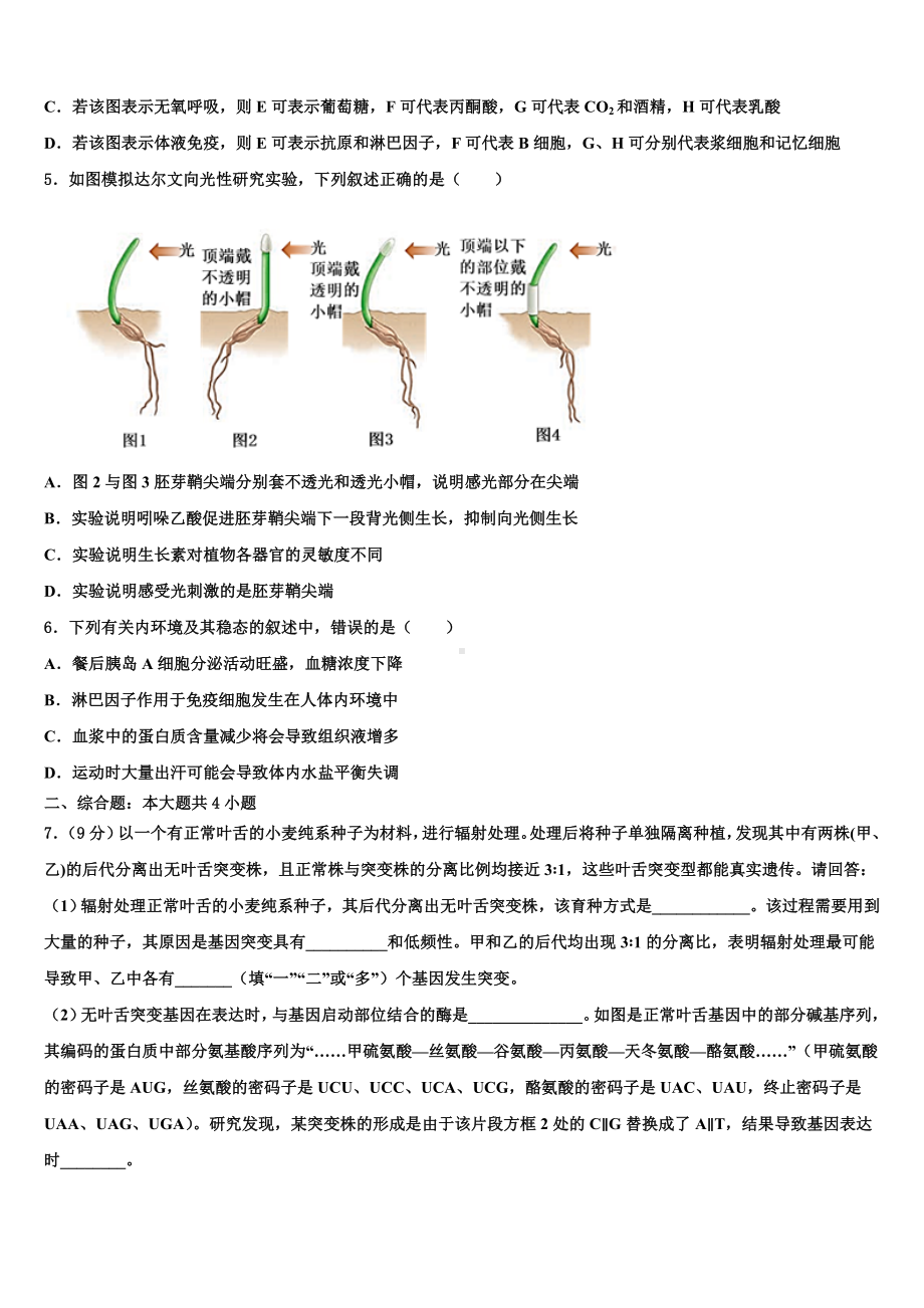 安徽省合肥市第七中学2023-2024学年生物高三上期末学业质量监测模拟试题含解析.doc_第2页