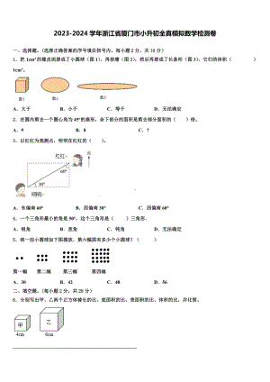 2023-2024学年浙江省厦门市小升初全真模拟数学检测卷含解析.doc