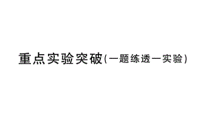 初中物理新人教版八年级上册第六章重点实验突破（一题练透一实验）作业课件2024秋季.pptx