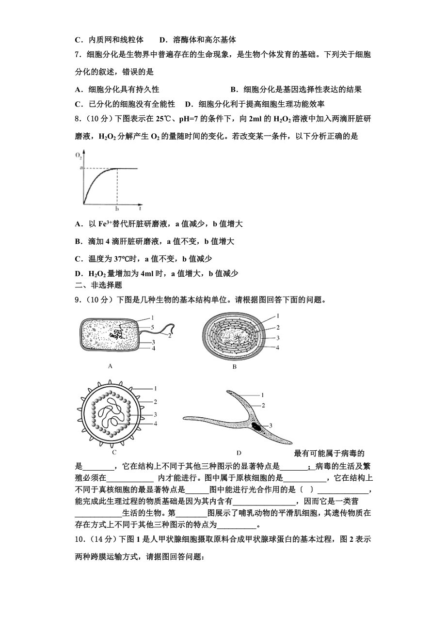 2023年北京市西城区北京市第四中学高一生物第一学期期末学业质量监测模拟试题含解析.doc_第2页