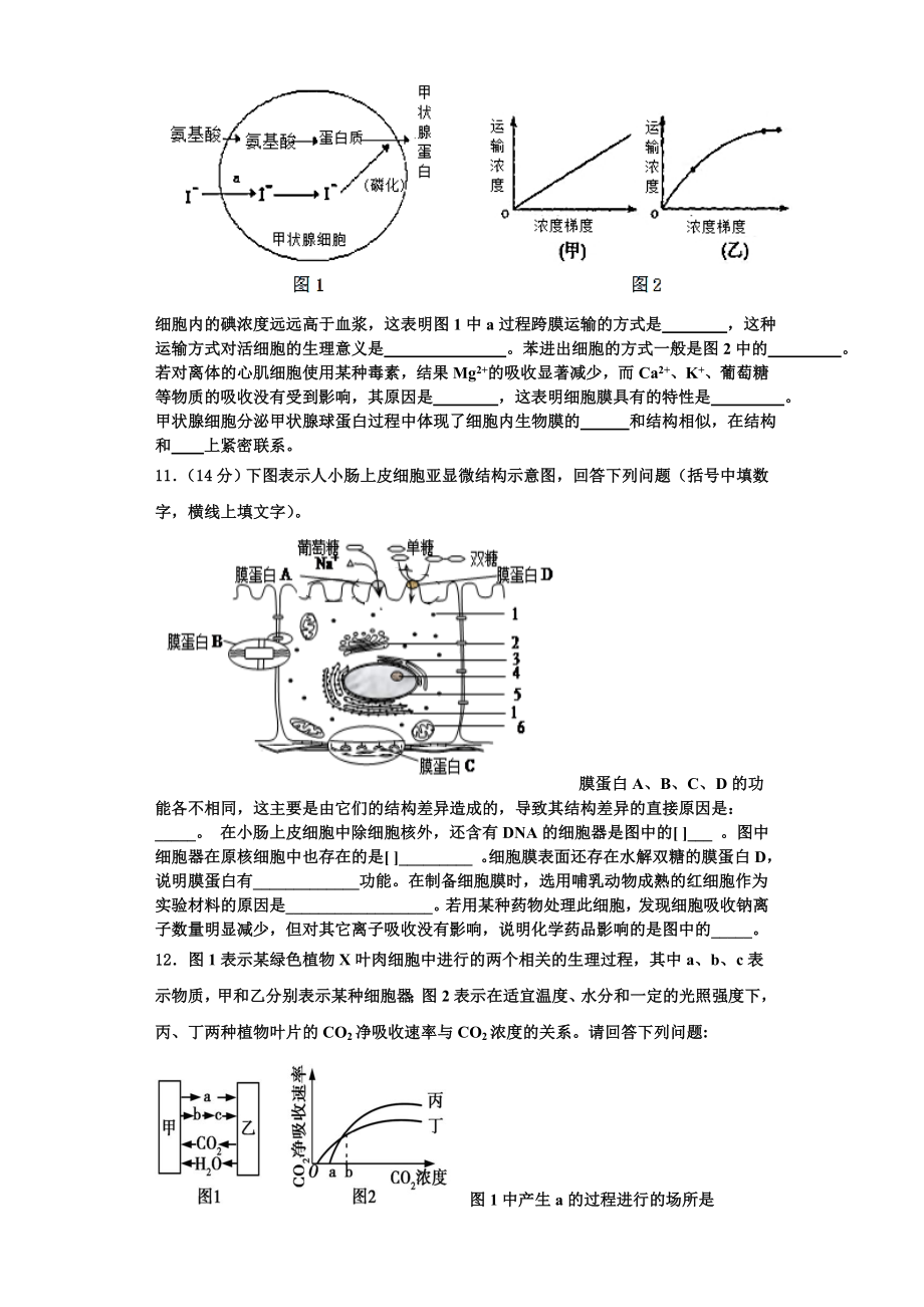 2023年北京市西城区北京市第四中学高一生物第一学期期末学业质量监测模拟试题含解析.doc_第3页