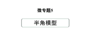 2024河南中考数学专题复习第三部分 题型二 微专题5 半角模型 课件.pptx