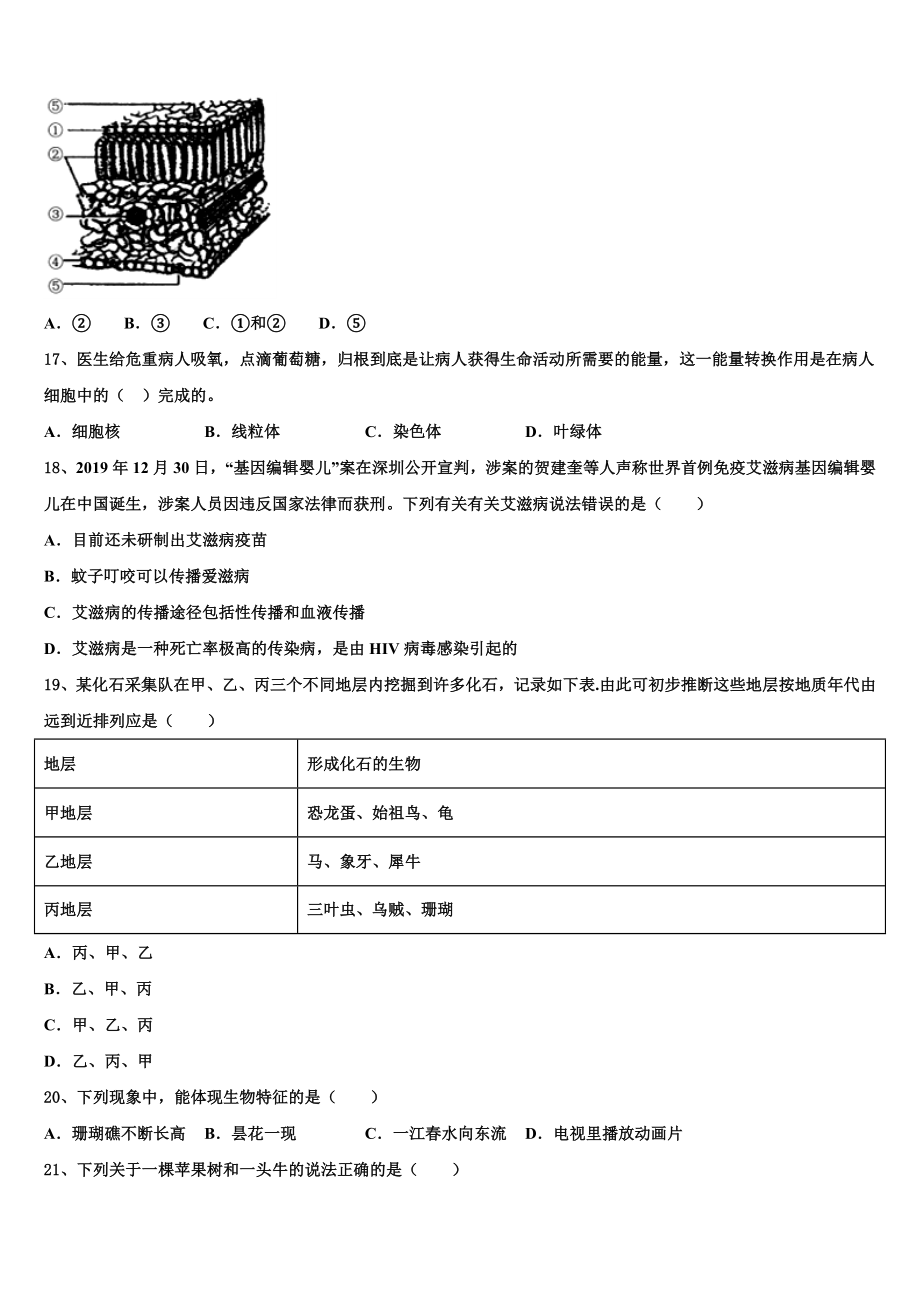 2023届河北省保定市清苑区北王力中学毕业升学考试模拟卷生物卷含解析.doc_第3页