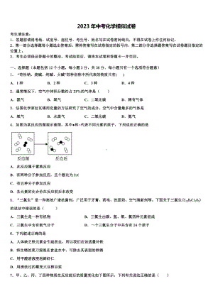 浙江省乐清市育英寄宿校2023年中考化学模试卷含解析.doc