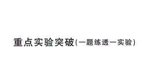 初中物理新人教版八年级上册第四章重点实验突破 （一题练透一实验）作业课件2024秋季.pptx