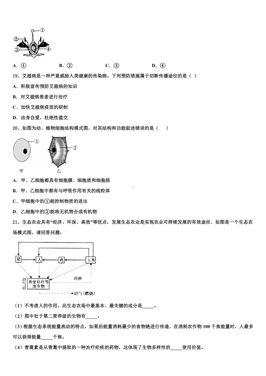 2024-2025学年北京市各区初三冲刺模拟考试生物试题含解析.doc_第3页