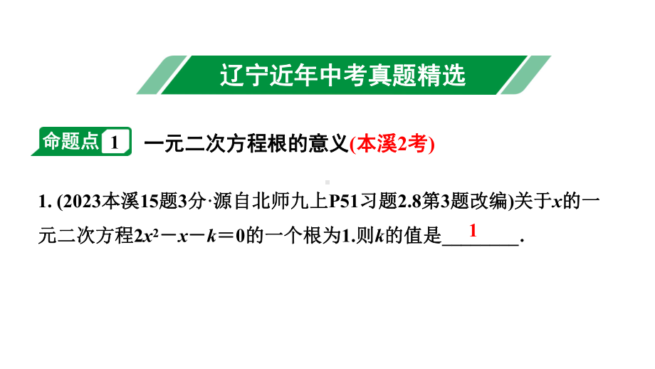 2024辽宁中考数学二轮中考考点研究 2.3 一元二次方程及其应用 (课件).pptx_第2页